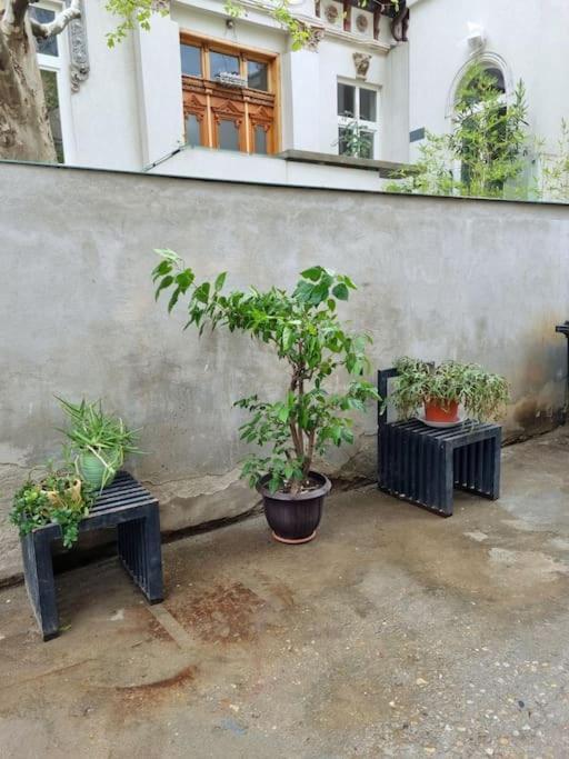 בוקרשט Cozy Apartment Near City Center מראה חיצוני תמונה