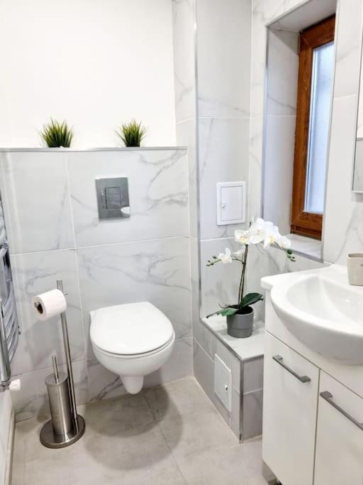 בוקרשט Cozy Apartment Near City Center מראה חיצוני תמונה